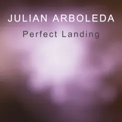 Perfect Landing - Single by Julian Arboleda album reviews, ratings, credits