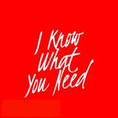 I Know What You Need (Radio Edit) Song Lyrics