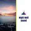 Night Wolf Sound - Single album lyrics, reviews, download