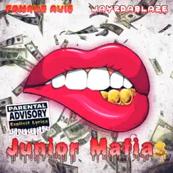 Junior Mafia$ (feat. Jay2DaBlaze) - Single by Famous Avi$ album reviews, ratings, credits