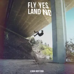 Fly Yes, Land No Song Lyrics