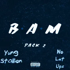 B.A.M Pack 2 - Single by DBUCK$ album reviews, ratings, credits