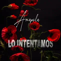 Lo Intentamos - Single by Amapola album reviews, ratings, credits