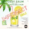 Imperfect (feat. Brooklyn Girls Choir) - Single album lyrics, reviews, download