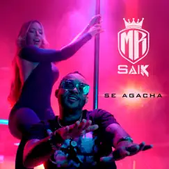Se Agacha - Single by Mr. Saik album reviews, ratings, credits