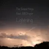 Lightning (feat. Bill Draper) - Single album lyrics, reviews, download