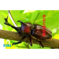 かぶと虫の夏(Beetle summer) - Single by Kuwa album reviews, ratings, credits