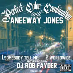 Perfect Color Combination and Aneeway Jones (feat. ANEEWAY JONES & DJ Rob Fayder) - Single by Perfect Color Combination album reviews, ratings, credits