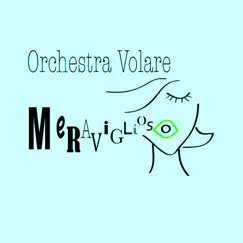 Meraviglioso - Single by Orchestra Volare album reviews, ratings, credits