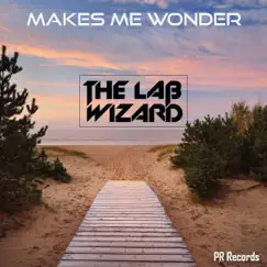 Makes Me Wonder - Single by The Lab Wizard album reviews, ratings, credits