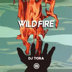 Wildfire - Single by DJ Tora album reviews, ratings, credits