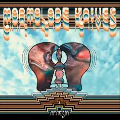 Amnesia by Marmalade Knives album reviews, ratings, credits