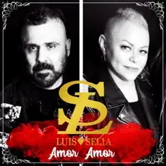 Amor Amor - Single by Luis Y Selia album reviews, ratings, credits