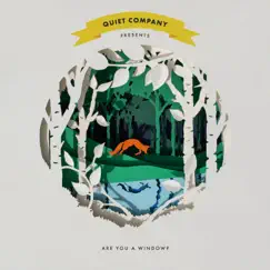 Are You a Window? - Single by Quiet Company album reviews, ratings, credits