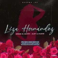 Liza Hernández - Single by Nemesi el Santo album reviews, ratings, credits