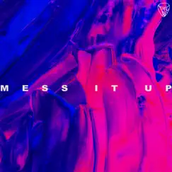 Mess It Up Song Lyrics