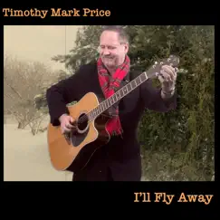 I'll Fly Away - Single by Timothy Mark Price album reviews, ratings, credits