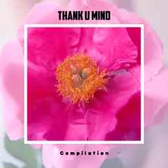 Thank U Mind Compilation by Various Artists album reviews, ratings, credits