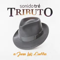 Tributo a Juan Luis Guerra - EP by Sonido Tré album reviews, ratings, credits