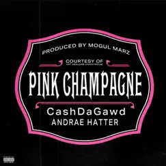Pink Champagne (feat. Andrae Hatter) Song Lyrics