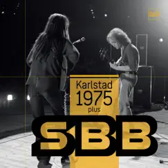 I Need You, Baby (Live In Sundsvall 1975) Song Lyrics