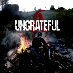 Fallout - Single by Ungrateful album reviews, ratings, credits