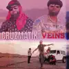 Veins (feat. The Sober Junkie) - Single album lyrics, reviews, download
