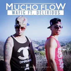 Mucho Flow (feat. Delirious) Song Lyrics