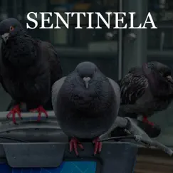 Sentinela Song Lyrics
