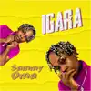 Igara - Single album lyrics, reviews, download