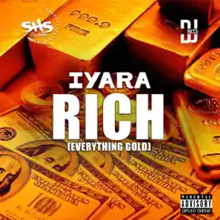 Rich (Everything Gold) - Single by Iyara & DJ Nicco album reviews, ratings, credits