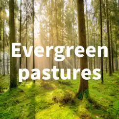 Evergreen Pastures by TK lab album reviews, ratings, credits