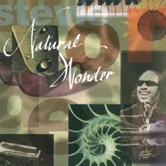 Natural Wonder by Stevie Wonder album reviews, ratings, credits
