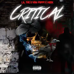 Critical (feat. Meek & Lil Tae) - Single by Von Poppi album reviews, ratings, credits