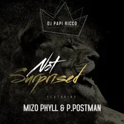 Not Surprised (feat. Mizo Phyll & P . Postman) - Single by DJ Papi Ricco album reviews, ratings, credits