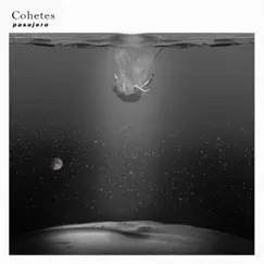 Pasajero - Single by Cohetes album reviews, ratings, credits