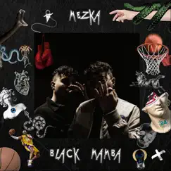 Black Mamba - Single by Mezka album reviews, ratings, credits