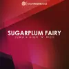 Sugarplum Fairy (Feat. High 'n' Rich) song lyrics