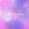 Vida Cara (Versión instrumental) [feat. Ginger Boy] - Single album lyrics, reviews, download