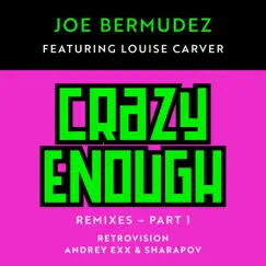 Crazy Enough (feat. Louise Carver) [RetroVision Remix] Song Lyrics