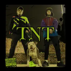 TNT (feat. Tade) Song Lyrics
