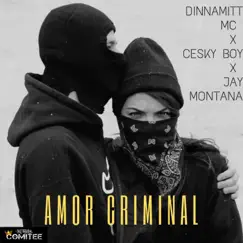 Amor Criminal (feat. Ceskyboy & Jay Montana) - Single by Dinnamitt Mc album reviews, ratings, credits