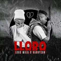 Lloro - Single by Lobo Malo & Harryson album reviews, ratings, credits