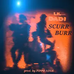 SCURR BURR (feat. Pippo Auge) Song Lyrics