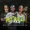 Os Pitbull de Raça (feat. MC KF) - Single album lyrics, reviews, download