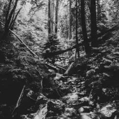 Lost In the Woods (feat. Corey Harper) Song Lyrics