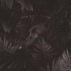 Where the Dogs Don't Bite - Single by Old Salt Union album reviews, ratings, credits