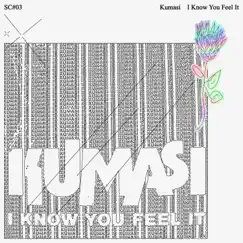 I Know You Feel It - EP by Kumasi Project album reviews, ratings, credits