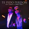 Te Pido Perdón (feat. Baby Lores) - Single album lyrics, reviews, download