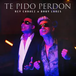 Te Pido Perdón (feat. Baby Lores) Song Lyrics